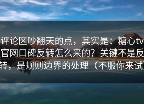 评论区吵翻天的点，其实是：糖心tv官网口碑反转怎么来的？关键不是反转，是规则边界的处理（不服你来试）