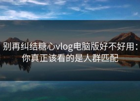 别再纠结糖心vlog电脑版好不好用：你真正该看的是人群匹配