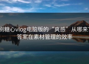 刷糖心vlog电脑版的“爽感”从哪来？答案在素材管理的效率