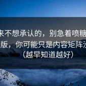 我本来不想承认的，别急着喷糖心vlog电脑版，你可能只是内容矩阵没调对（越早知道越好）