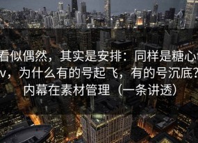 看似偶然，其实是安排：同样是糖心tv，为什么有的号起飞，有的号沉底？内幕在素材管理（一条讲透）