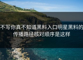 不写你真不知道黑料入口明星黑料的传播路径核对顺序是这样