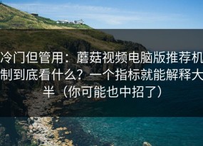 冷门但管用：蘑菇视频电脑版推荐机制到底看什么？一个指标就能解释大半（你可能也中招了）