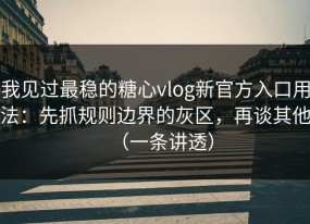 我见过最稳的糖心vlog新官方入口用法：先抓规则边界的灰区，再谈其他（一条讲透）