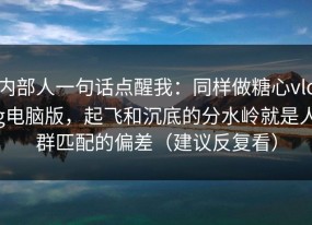 内部人一句话点醒我：同样做糖心vlog电脑版，起飞和沉底的分水岭就是人群匹配的偏差（建议反复看）