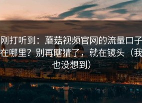刚打听到：蘑菇视频官网的流量口子在哪里？别再瞎猜了，就在镜头（我也没想到）