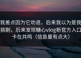 我差点因为它劝退，后来我以为是我挑剔，后来发现糖心vlog新官方入口卡在共鸣（信息量有点大）