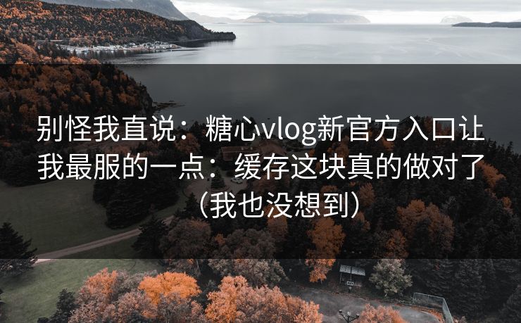 别怪我直说：糖心vlog新官方入口让我最服的一点：缓存这块真的做对了（我也没想到）