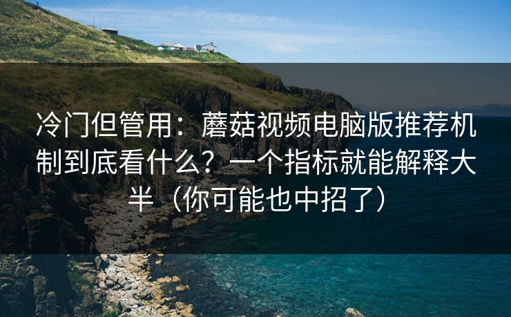 冷门但管用：蘑菇视频电脑版推荐机制到底看什么？一个指标就能解释大半（你可能也中招了）