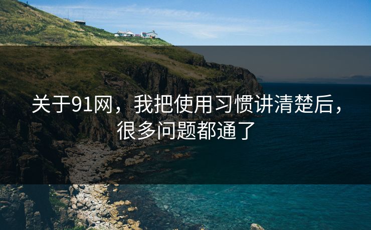 关于91网，我把使用习惯讲清楚后，很多问题都通了