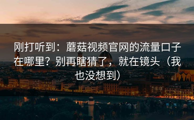 刚打听到：蘑菇视频官网的流量口子在哪里？别再瞎猜了，就在镜头（我也没想到）