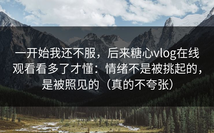 一开始我还不服，后来糖心vlog在线观看看多了才懂：情绪不是被挑起的，是被照见的（真的不夸张）