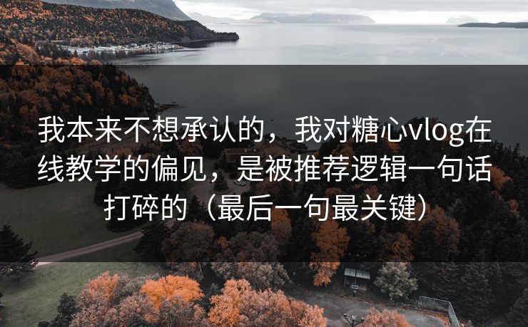 我本来不想承认的，我对糖心vlog在线教学的偏见，是被推荐逻辑一句话打碎的（最后一句最关键）